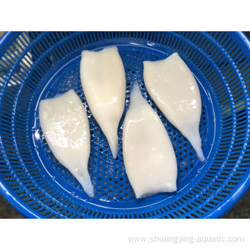 Hot Sale Frozen Gigas Squid Tube Bqf Wholesale